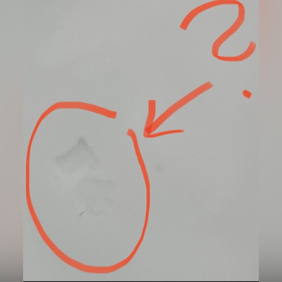 Royal Vienna Floral Soup Plate  1744-1749 ? Bindenschild Red Shield Antique - Picture 5 of 11